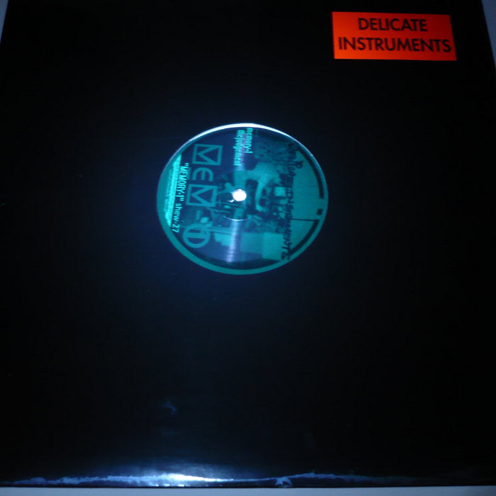 Delicate Instruments - Memory-1