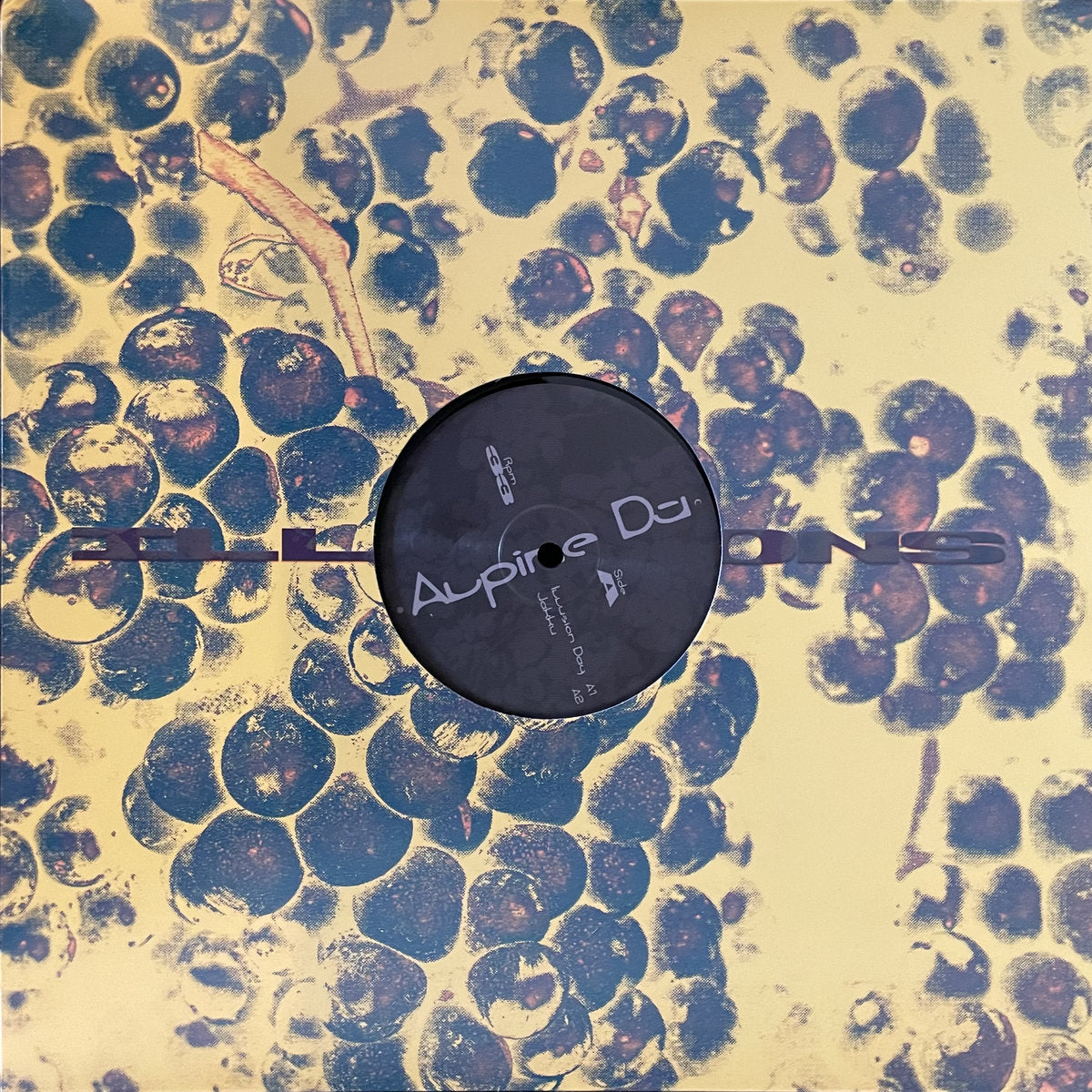 Alpine DJ - ILLUSIONS (12")