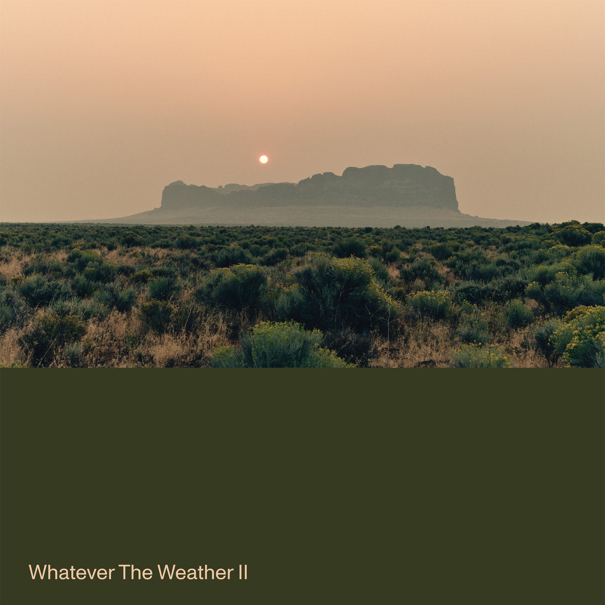 Whatever The Weather - Wahatever The Weather II (Dark Green Coloured LP)