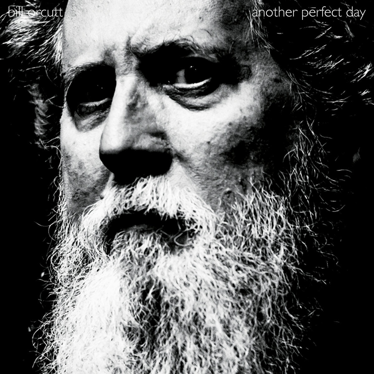 Bill Orcutt - Another Perfect Day (LP)