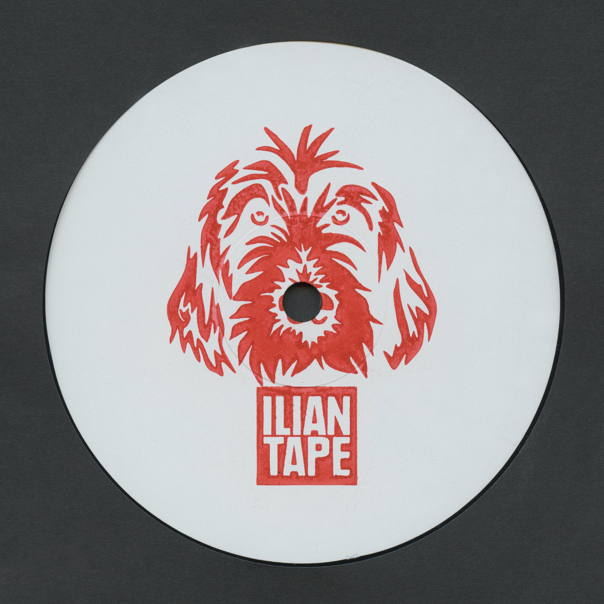 re:ni & BiggaBush - Bass Is The Space (12")