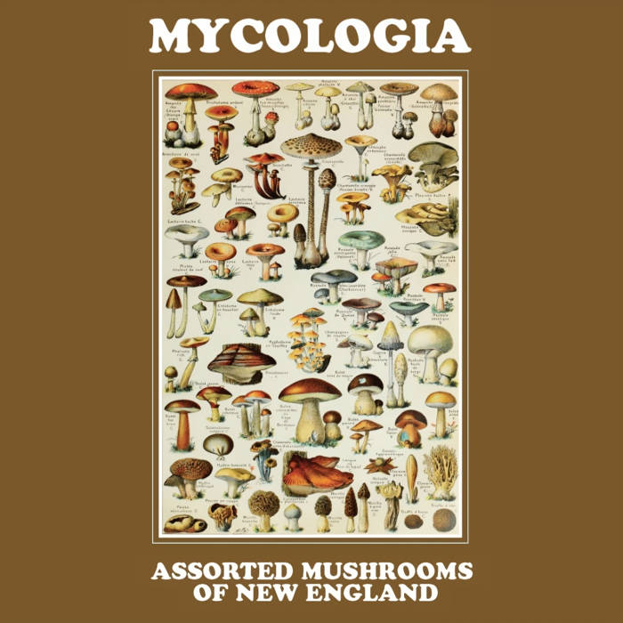 MYCOLOGIA - Assorted Mushrooms From New England (Brown with White Splatter Vinyl LP)