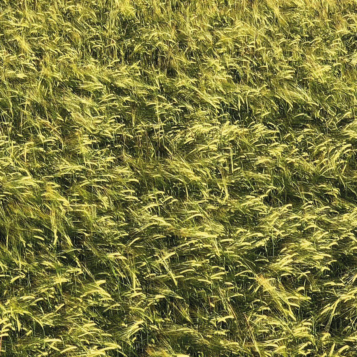 Skee Mask - Pool (LP)