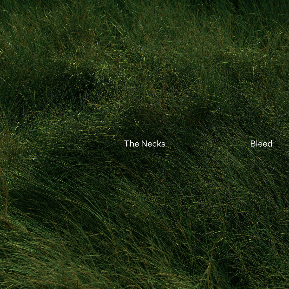 Necks - Bleed (Green Vinyl LP)