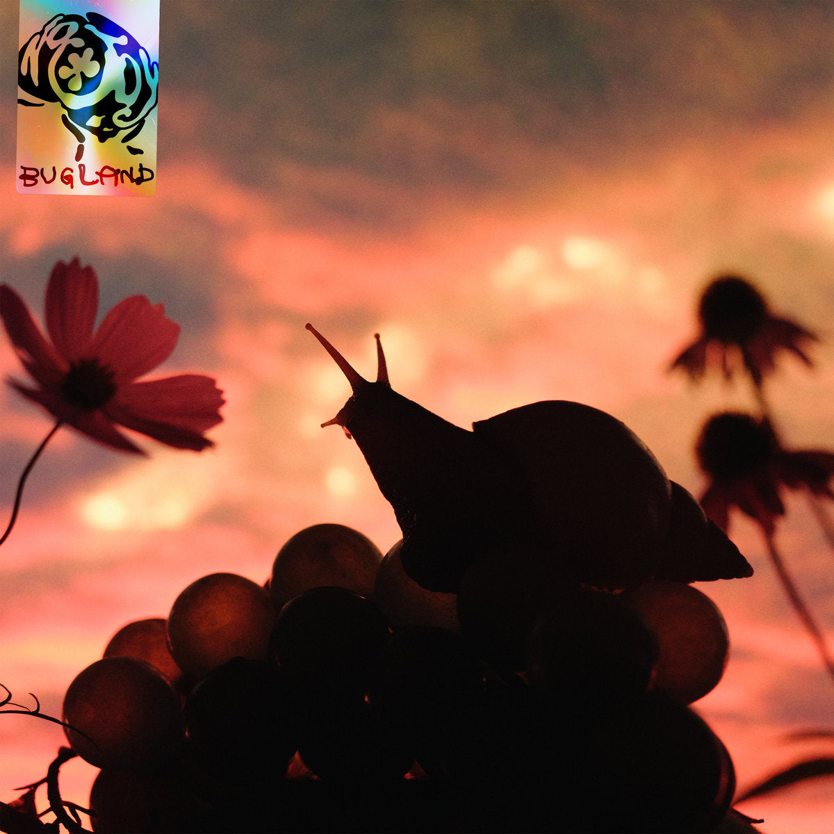 No Joy - Bugland (Coloured Vinyl LP)