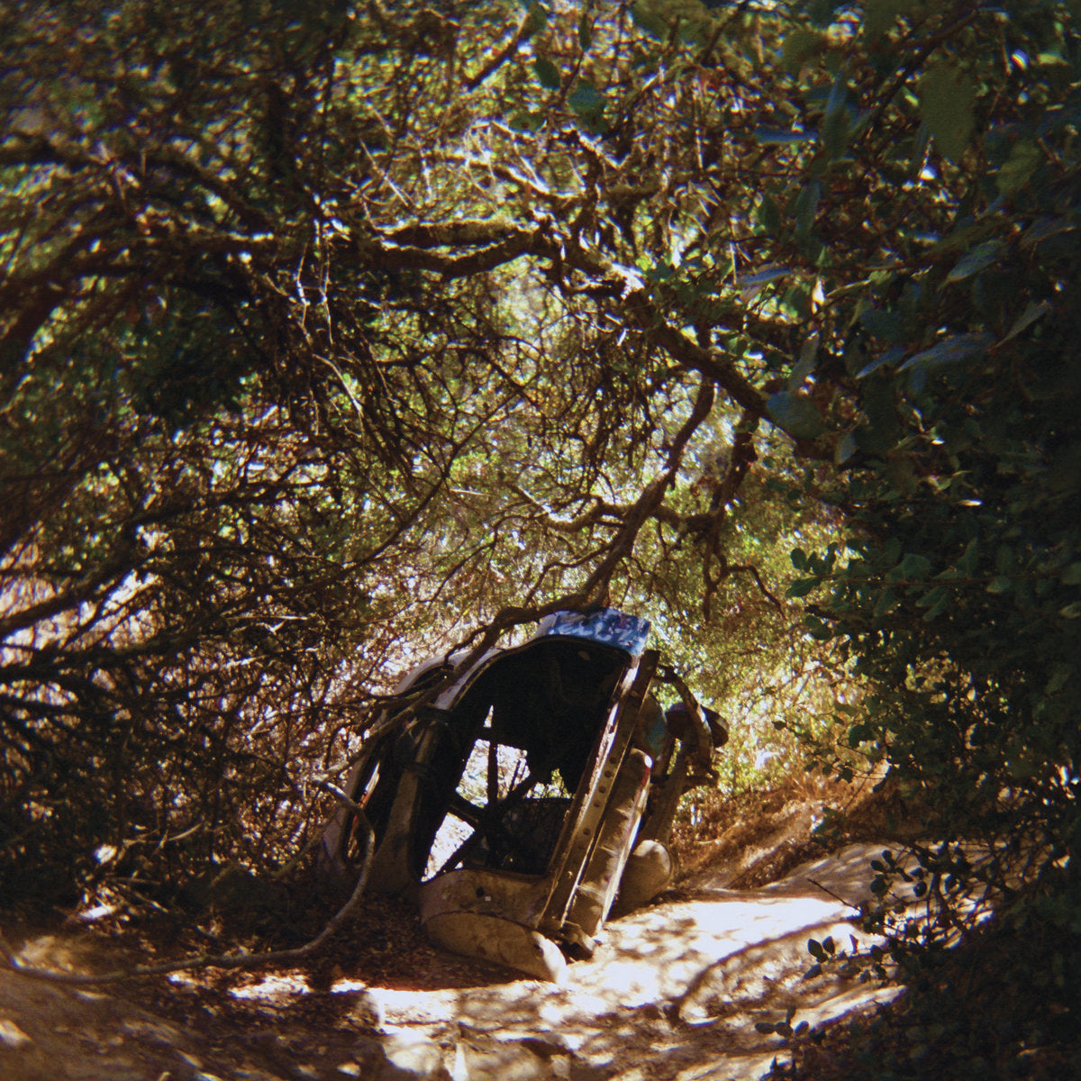 Ty Segall - Possession (LP)