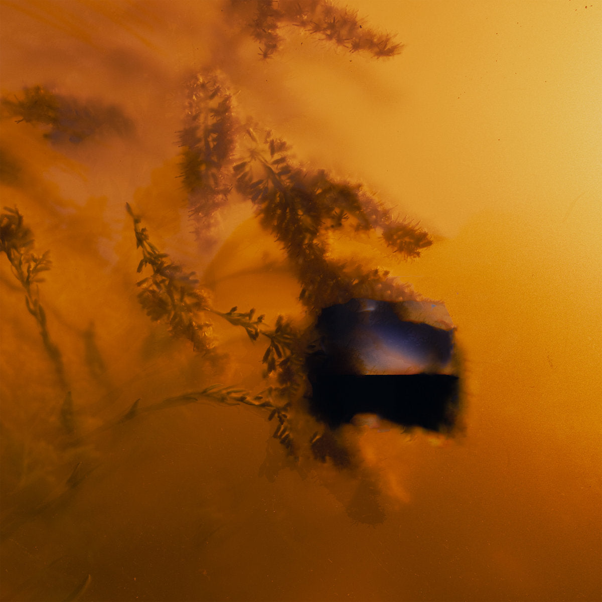 Ulla & Ultrafog - it means a lot