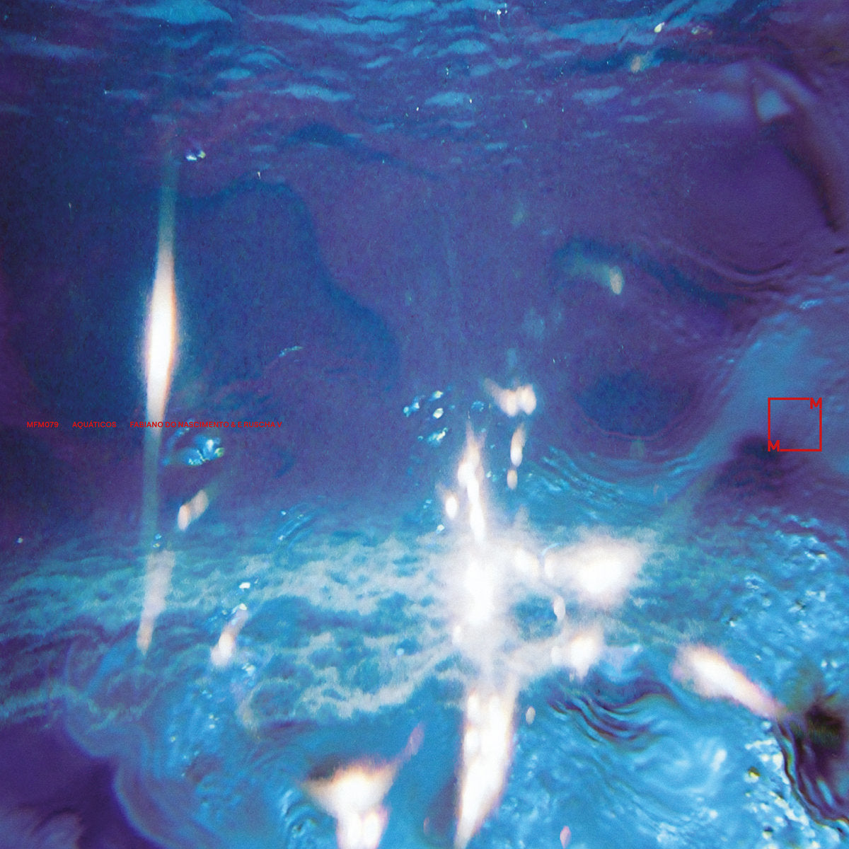 Fabiano Do Nascimento & E Ruscha V - Aquaticos (LP)