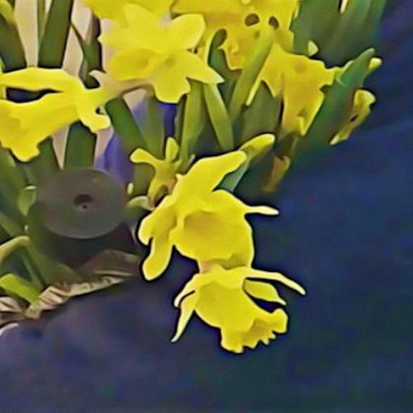 Dean Blunt & Elias Ronnenfelt - Lucre (Single Sided LP)