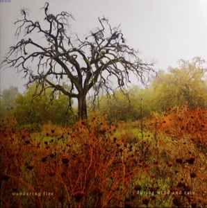 USED - Wandering Fire - During Wind And Rain