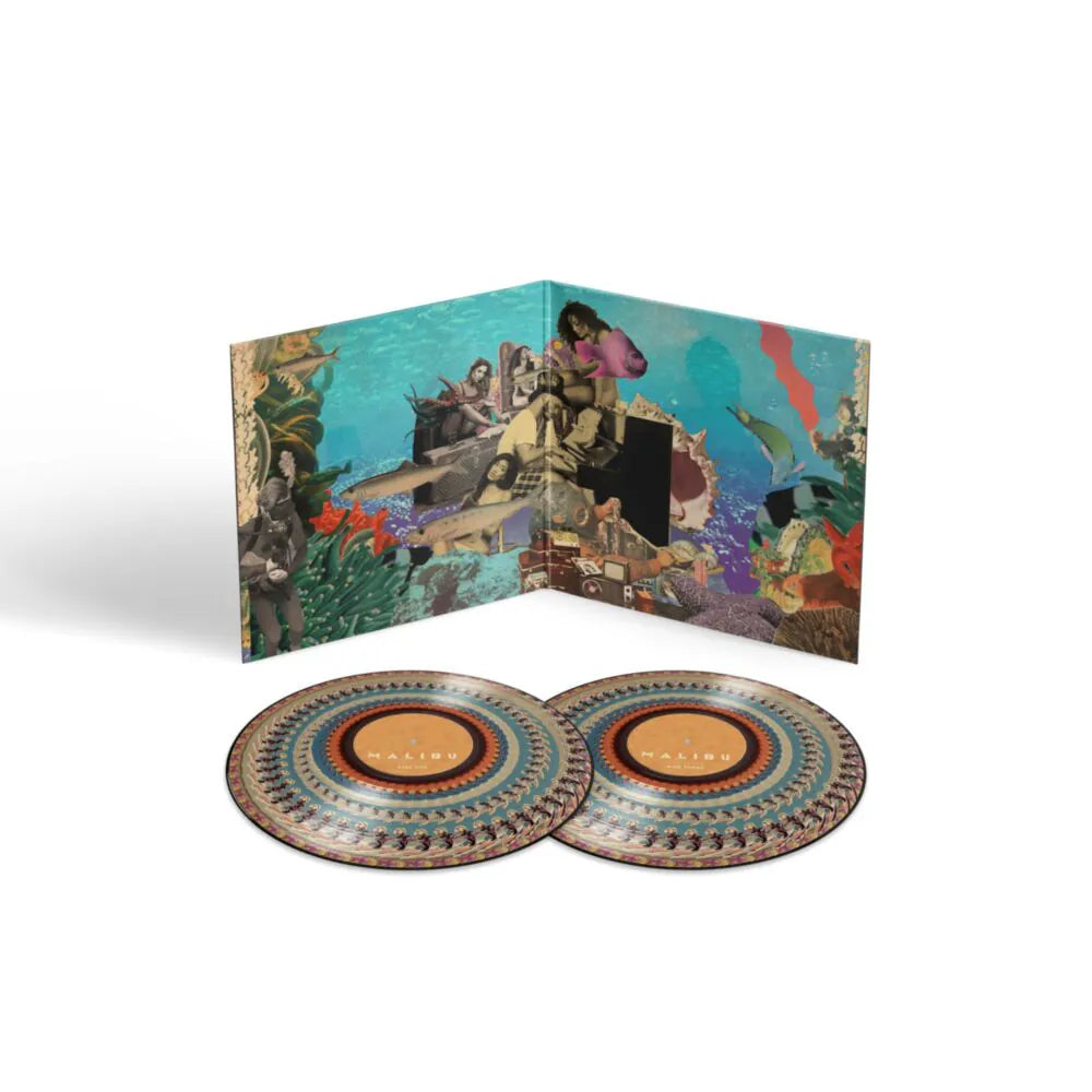 Anderson .Paak - Malibu (Zoetrope Vinyl LP)