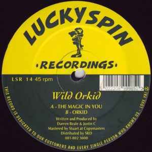 USED - Wild Orkid - The Magic In You / Orkid