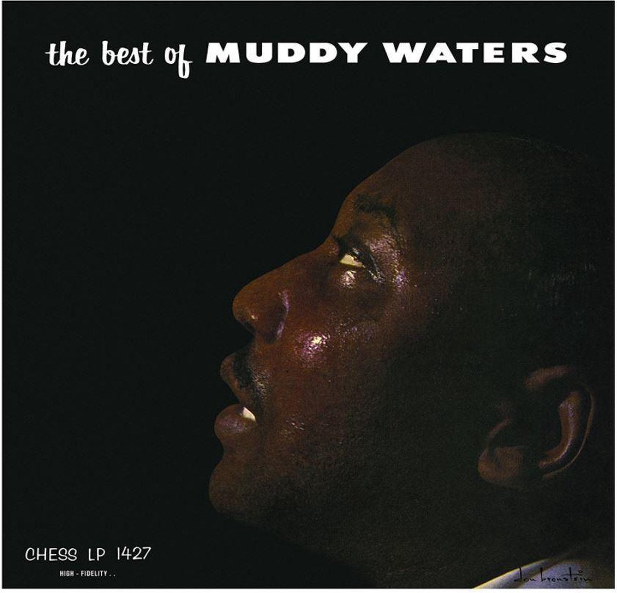 Muddy Waters - Best of Muddy Waters (LP)