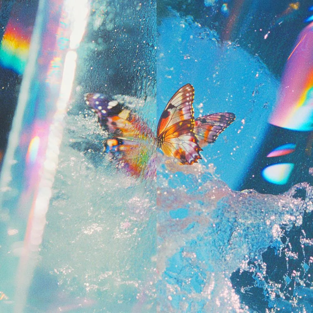Daphni - Butterfly (LP)