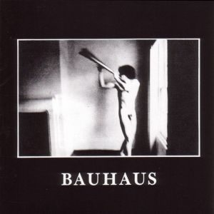 Bauhaus - In the Flat Field (LP)