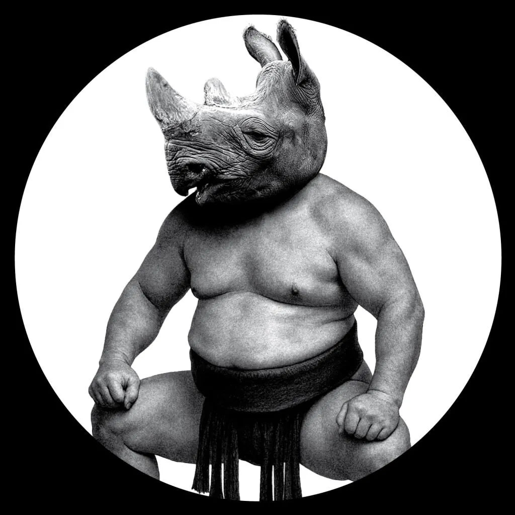 Conceptual - Between Sand and Roses (12")