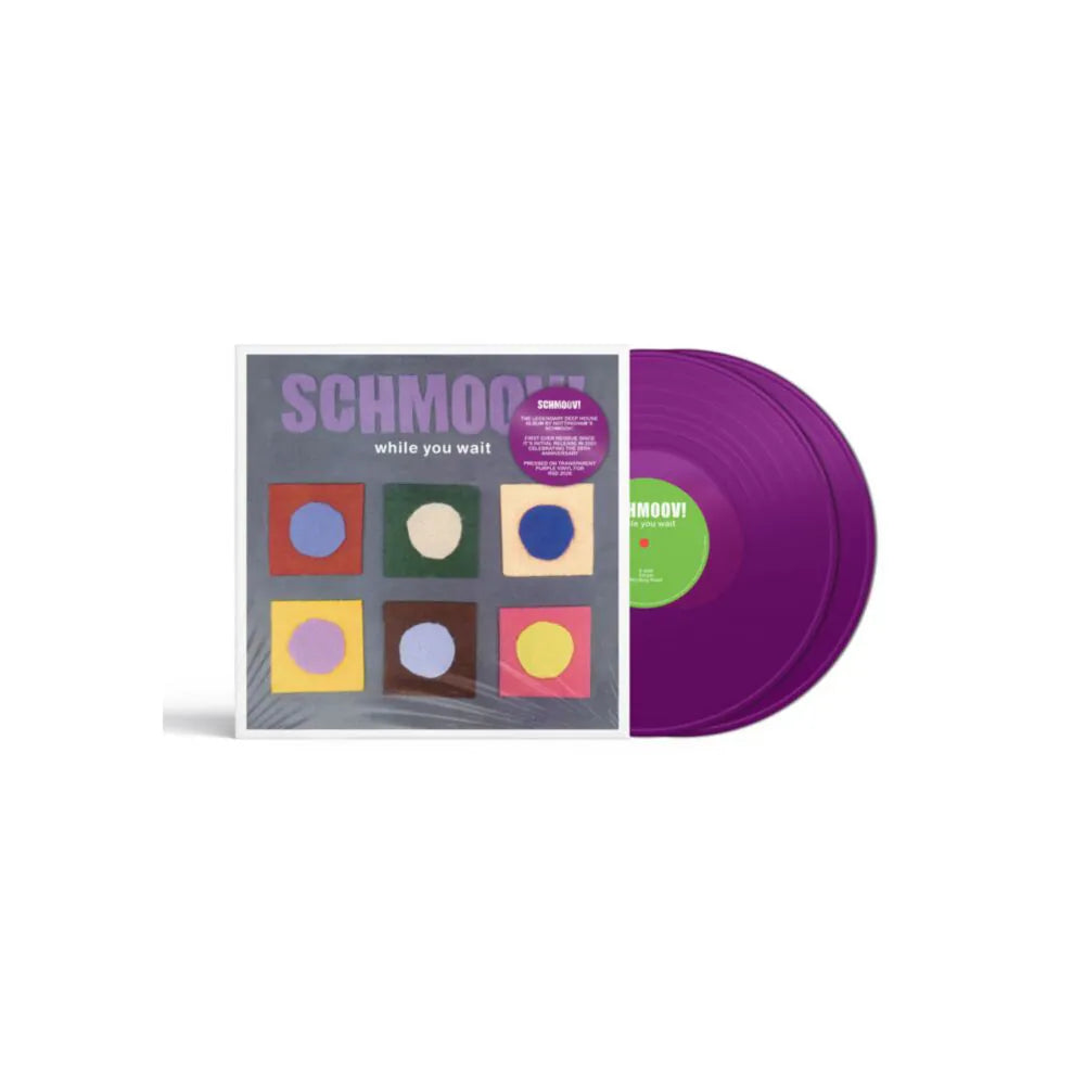 Schmoov! - While You Wait (Purple Vinyl LP)
