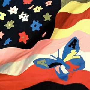 USED - The Avalanches - Wildflower