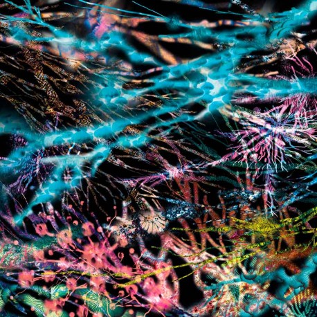 LCSM (Likwid Continual Space Motion) - The Remedy (LP)