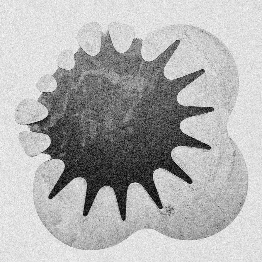 Carrier - Neither Curve Nor Edge / In Spectra (LP)