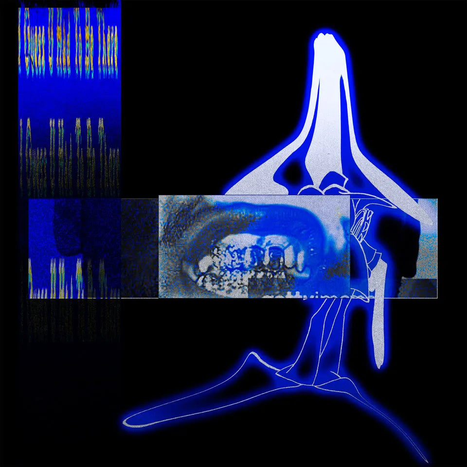 Elucid & Sebb Bash - I Guess U Had To Be There (Clear Vinyl LP)