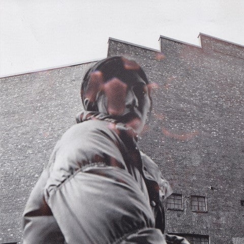 Aldous Harding - Warm Chris (LP)