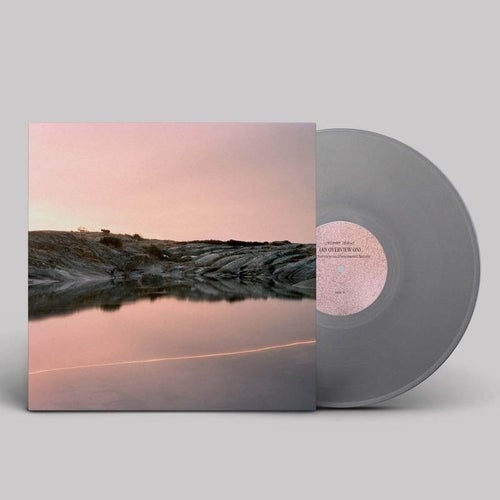 Cassandra Jenkins - (An Overview On) An Overview On Phenomenal Nature (Grey Vinyl)