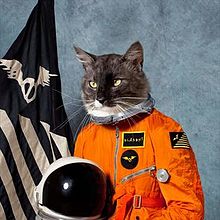 Klaxons - Surfing The Void (Orange)