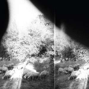 Godspeed You! Black Emperor - Asunder, Sweet & Other Distress