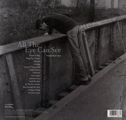 Joe Henry - All the Eye Can See
