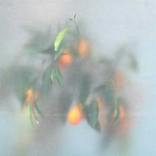 µ-Ziq & Mrs Jynx - Secret Garden (Green Vinyl)