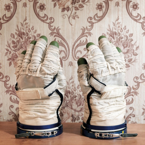 David & Stephan Mathieu Sylvian - Wandermude