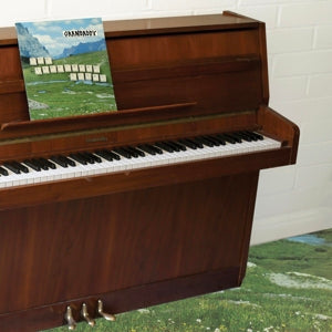 Grandaddy - Sophtware Slump.....On a Wooden Piano (Pink Vinyl)