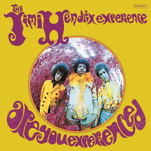 The Jimi Hendrix Experience - Are You Experienced (LP)