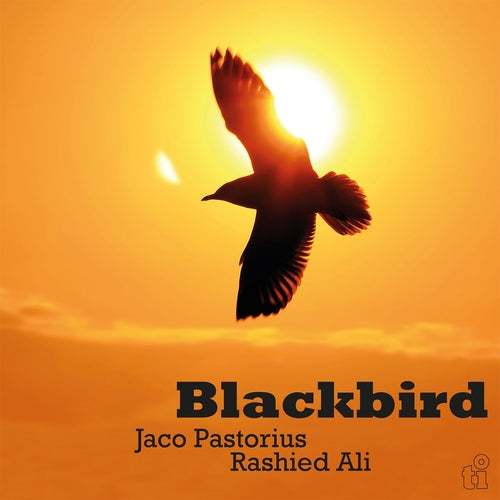 Jaco & Rashied Ali Pastorius - Blackbird (Translucent Yellow Vinyl)