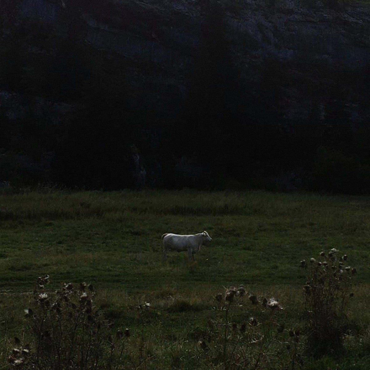 Ulla - Limitless Frame