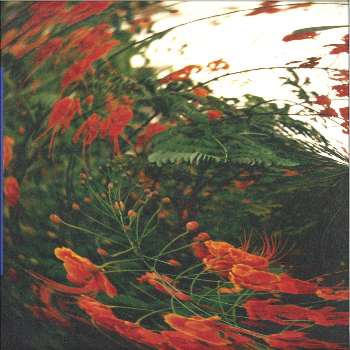 Anthony Naples - Chameleon