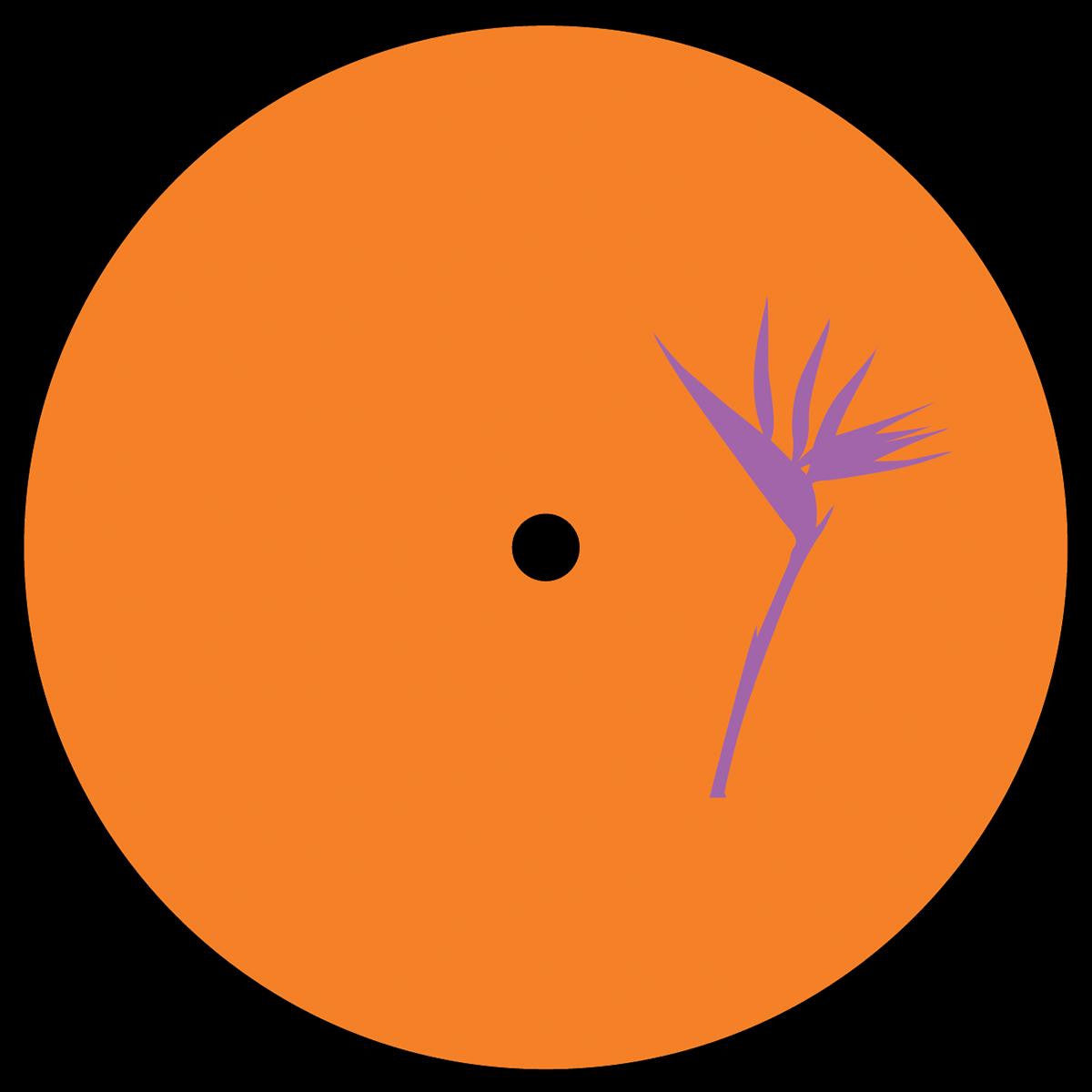 Bisharat - Perspective EP