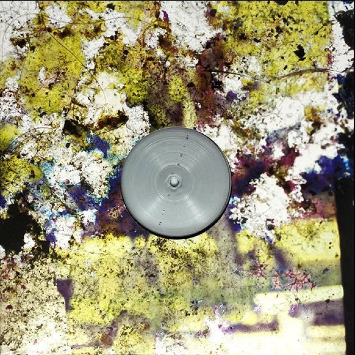 Lorenzo Fortino - Istanti Per Volare Via