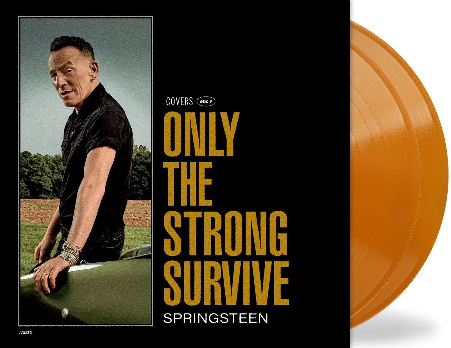 Bruce Springsteen - Only The Strong Survive (Orbit Orange Vinyl)