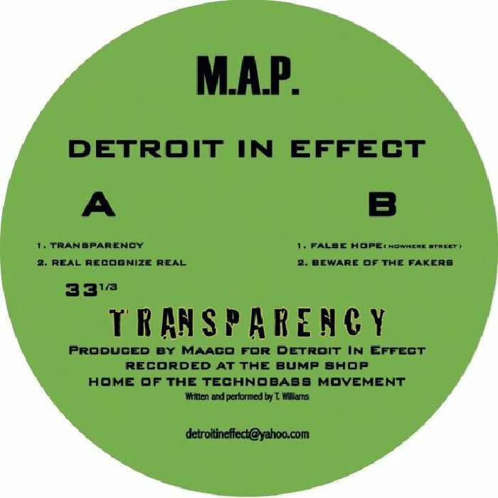 Detroit In Effect - Transparency