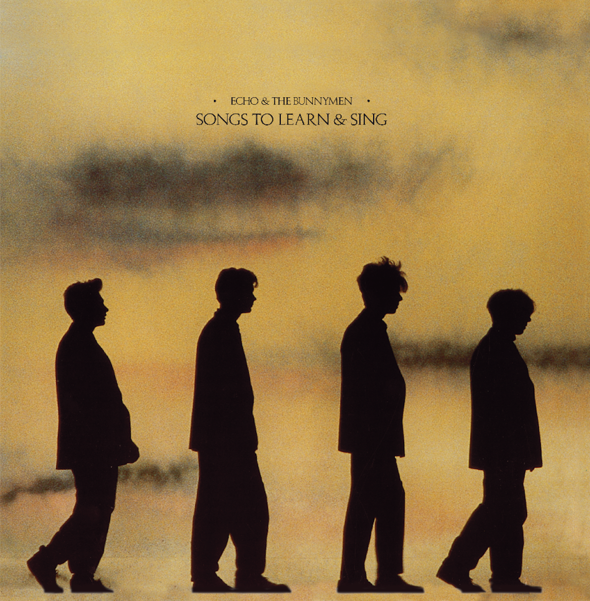Echo & The Bunnymen - Songs To Learn & Sing (LP)