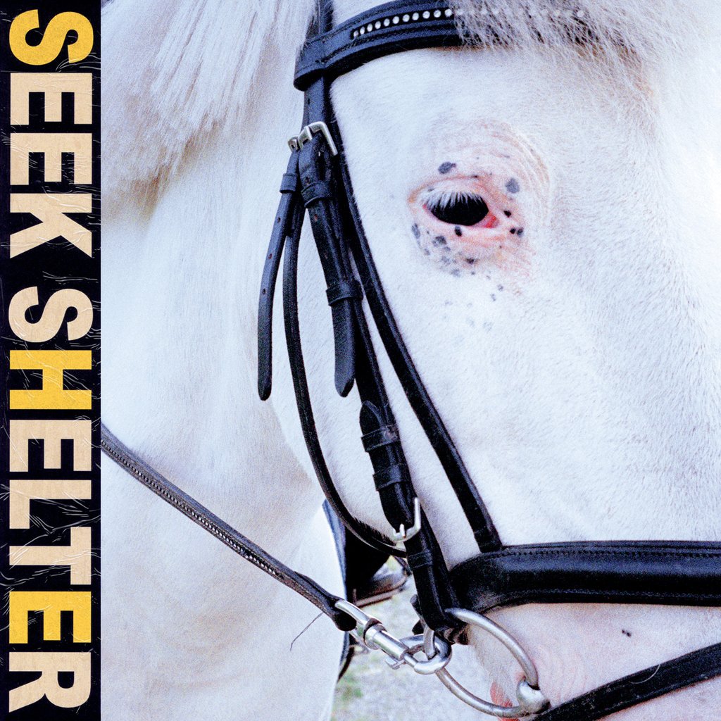 Iceage - Seek Shelter (Transparent Orange)