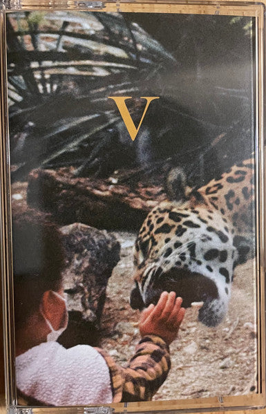 Unknown Mortal Orchestra - V