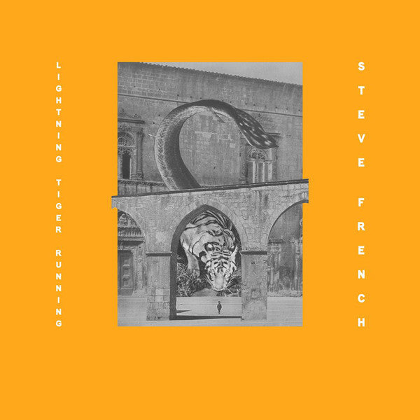 Steve French - Lightning Tiger Running