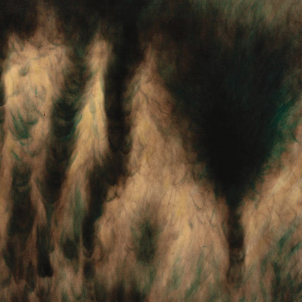 William Basinski - Lamentations (LP)