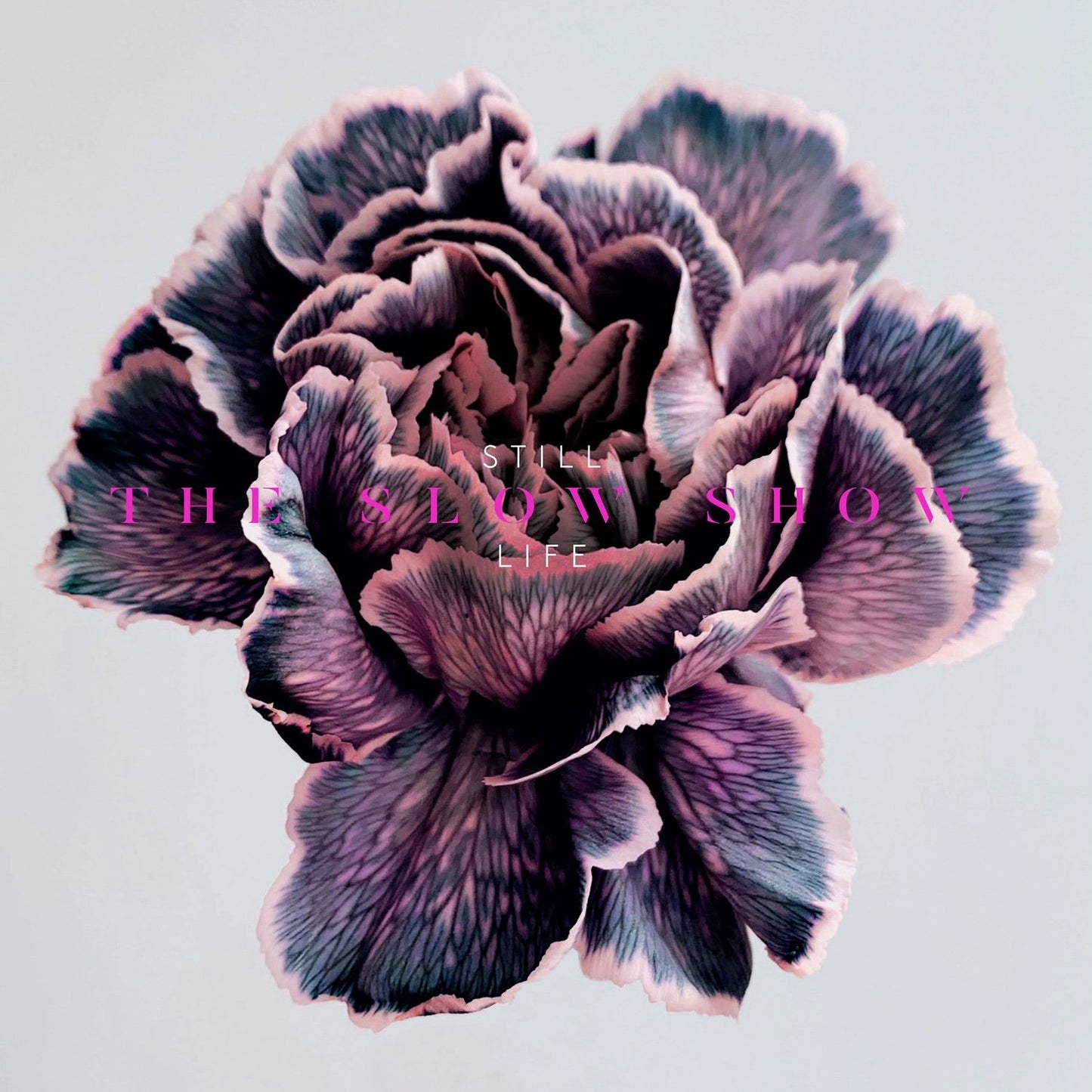 The Slow Show - Still Life (White Vinyl)