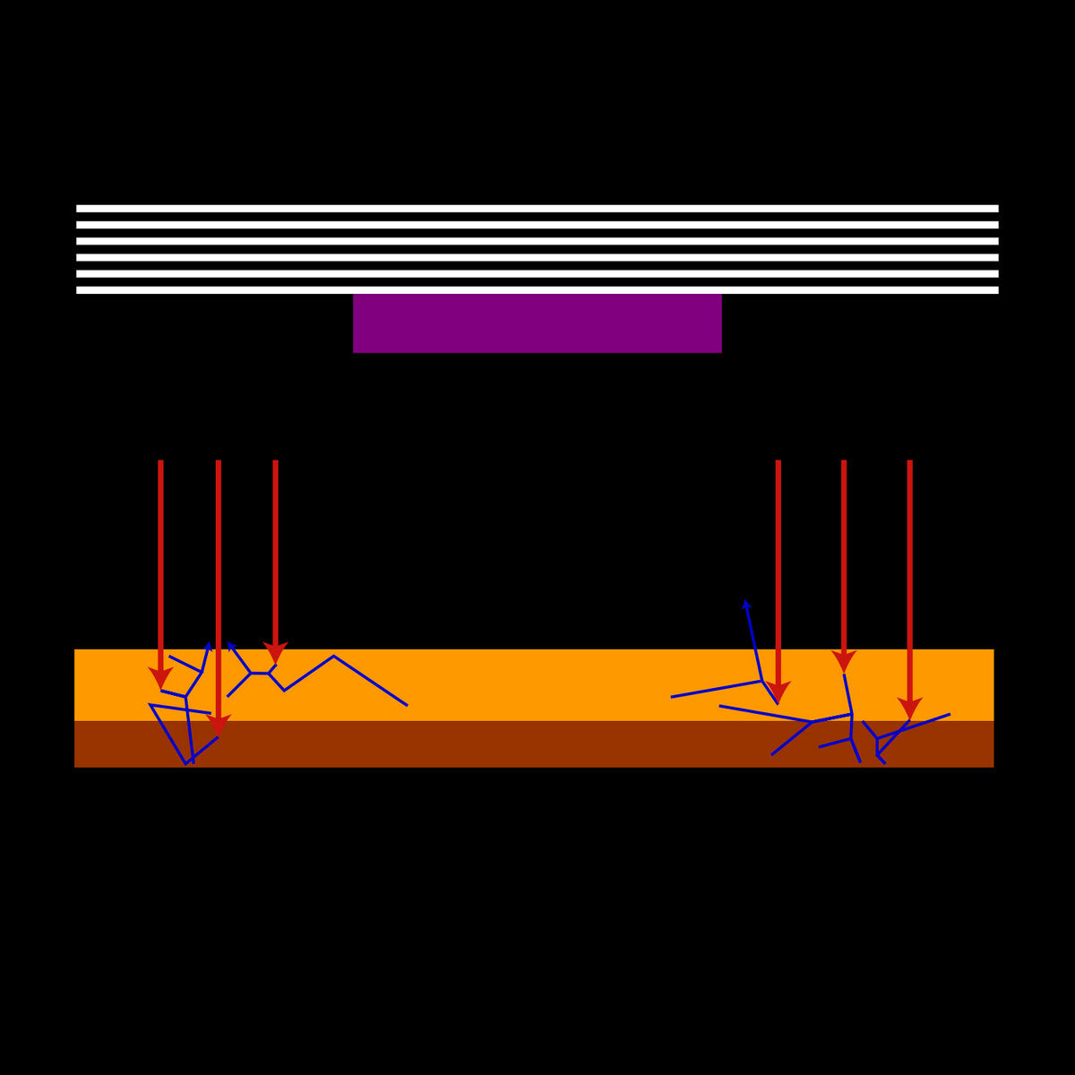 SALELE - For Pitch Division