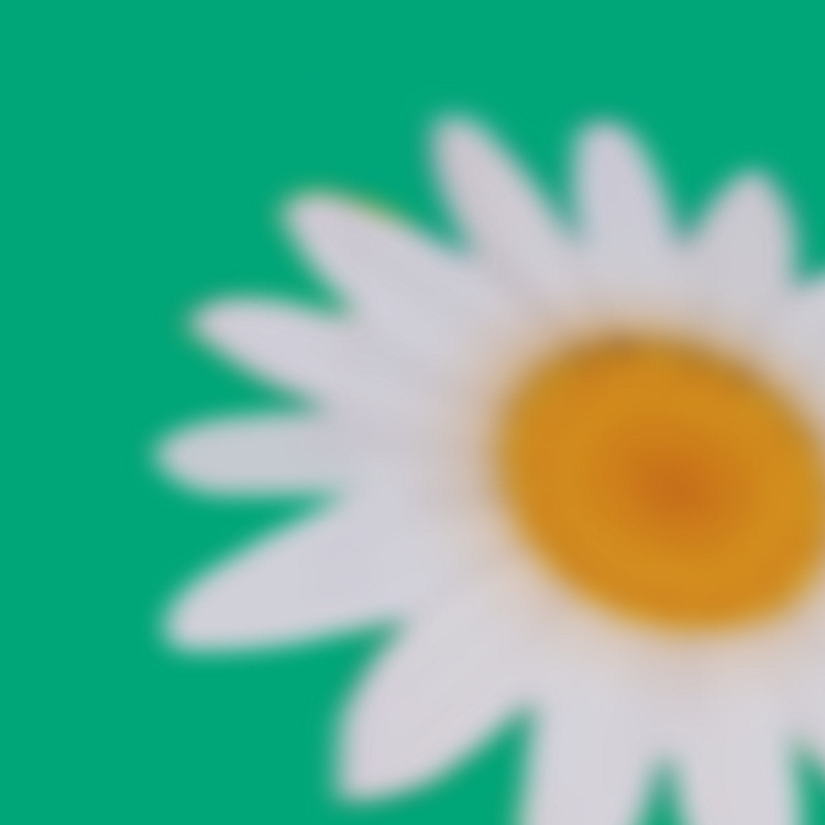 Ulla - Foam (White Vinyl)