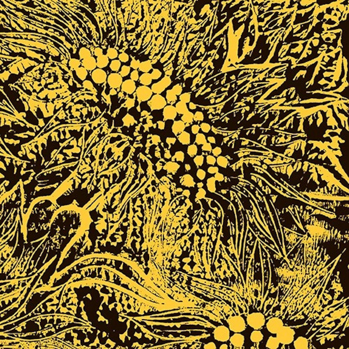 Amanda Whiting - Little Sunflower